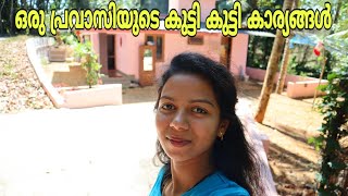 Little things in my home|Dona Philip Inchikalayil