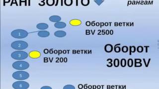 Skinny Body Care Подробно про ранги Наталья Галкина канал Наталья Орлова