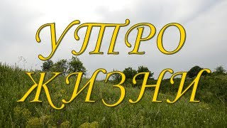 Утро Жизни (3D фильм)