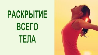 Йога для начинающих. Комплекс упражнений йоги для раскрытия всего тела в домашних условиях. Yogalife