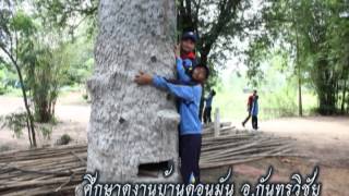 โครงการสุภาพบุรุษพลังแผ่นดินเอาชนะยาเสพติด