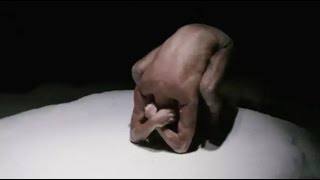 芸術家：名和晃平