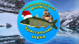 Как поймать Кристальную щуку на Ледяном озере | Реальная Рыбалка