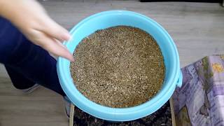 Зерновая смесь для канареек