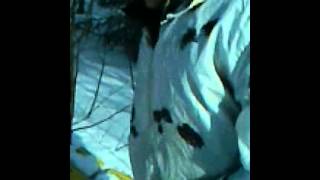 Сравнение двух пуль 12 кал