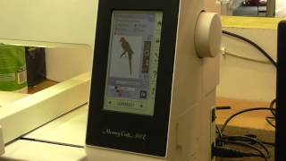 Transfer Designs to the Janome Memory Craft 500e