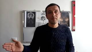 Спас целый  Обучение Разум  Обитатель  Великий Пау