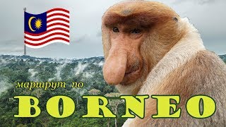 Что посмотреть на Борнео, Малайзия (штат Сабах). Наши впечатления.