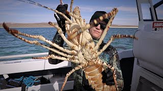 60 DAYS IN THE WILDERNESS EP 4 - BAIT AND BUGS | Fishing | Spearfishing | Camping Videos