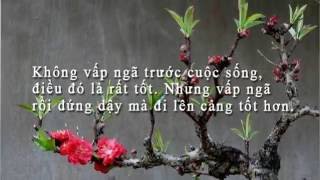 Quà Tặng Cuộc Sống - NHững câu nói hay và ý nghĩa nhất trong cuộc sống #4