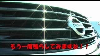 Y50フーガ〔後期型〕純正ホーンの音色！！