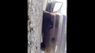 Passat B3 1.8 RP sound