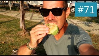 VLOG #71 J'AI PRIS TELLEMENT DE PLAISIR !! (AVEC UN GÂTEAU AU MATCHA!)
