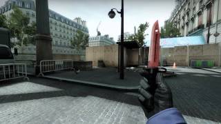 Bayonet Crimson Web - Factory New - CS:GO Skin Showcase