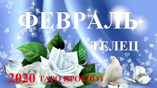 ТЕЛЕЦ. Февраль 2020.  Дамский Прогноз.  Таро.