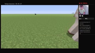 Minicraft con instegram 100 e roccapinnuzza 645