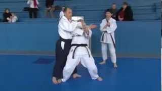 Айкидо Ёсинкан. Жак Пайе Сенсей. Sokumen Irimi Nage.