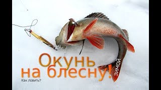 Уроки по ловле окуня на блесну по зиме!