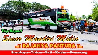 BERANI ADU BANTENG! Bus SINAR MANDIRI, RAJANYA PANTURA! Trip Report Surabaya—Pati