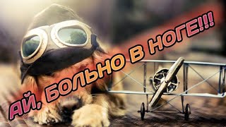 АЙ, БОЛЬНО В НОГЕ!!!