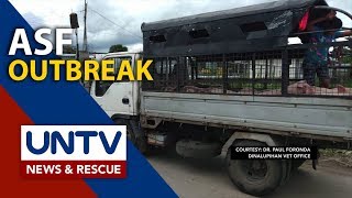 P5,000 kada baboy, ipagkakaloob ng DA sa mga apektado ng ASF