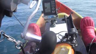 カヤックフィッシング　真鯛、イナダ( Kayak Fishing in Japan  Area  near  Tokyo)