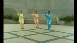 24 Taiji Quan - 二十四式太极拳