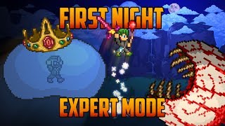 Terraria - Expert King Slime & Eye of Cthulhu on the First Night [Speedrun Challenge]