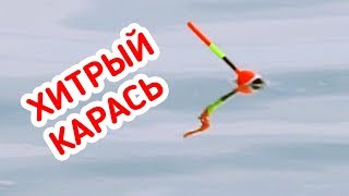 РЫБАЛКА / КЛЁВ ХИТРОГО КАРАСЯ крупным планом на ПОПЛАВОК!