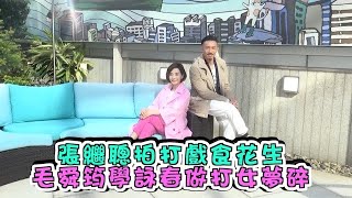 張繼聰拍打戲食花生　毛舜筠學詠春做打女夢碎