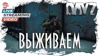 Выживаем [DayZ]