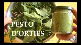 Pesto d'orties recette ultra facile