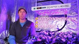 Kind LED Grow Light Review | K5 Series XL750 and XL1000