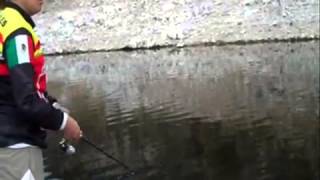 Pescando con Jerk Bait con Yaisa Corrales