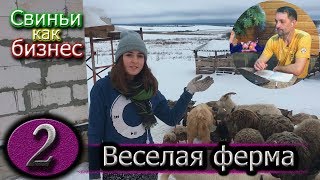 ОБЗОР ХОЗЯЙСТВА
