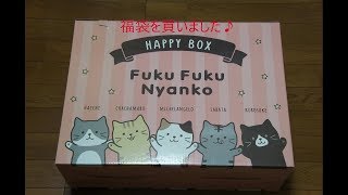 【HAPiNS】FukuFukuNyankoの福袋HAPPY BOXを買いました♪　I bought it in HAPiNS