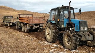 БЕЛАРУСЬ 1221 против УРАЛ и ГАЗ 66 | Кто перетянет ???
