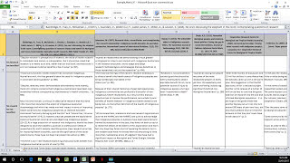How to Create a Literature Matrix Excel