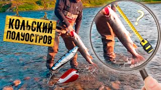Рыбалка на Кольском полуострове  Сёмга!