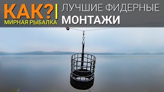 КАК? Лучшие фидерные монтажи.  Инлайн или патерностер?