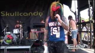 Blood on the Dancefloor - BOTDF - LIVE warped tour 2011 st pete show Dahvie Vanity