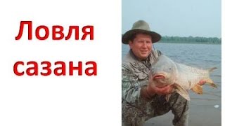 Ловля сазана. Ловля сазана с лодки