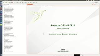 Projecto Colibri RCP 11 - Comunicação Documentos Transporte