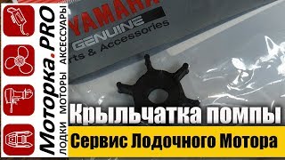 Ремонт охлаждения лодочного мотора (Замена крыльчатки помпы)