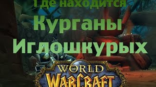 Где находится Курганы Иглошкурых