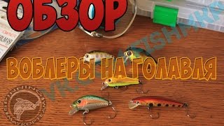 ТОП 5 убойных воблеров на голавля #1 (воблеры для ловли голавля 2016)