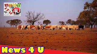 Australia now a land of drought, PM says