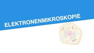 ELEKTRONENMIKROSKOPIE | Biologie | Biologie der Zellen
