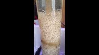 DIY Recirculating Bio Pellet Reactor