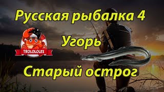 Угорь на старом остроге,  Русская рыбалка 4, где ловить угря, как ловить угря